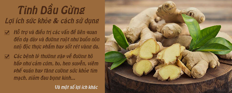 Tinh Dầu Gừng - Charmi