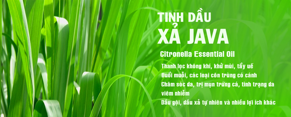 Tinh dầu xả Java - Charmi