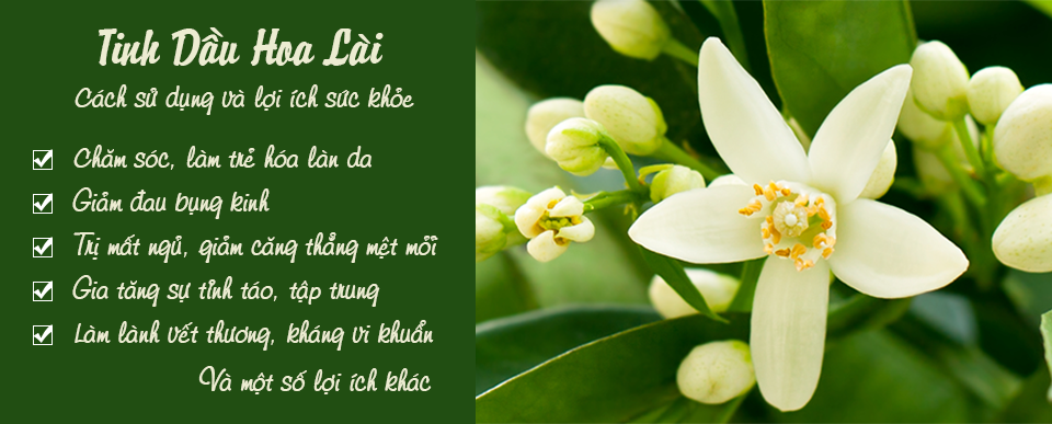 Tinh dầu hoa lài
