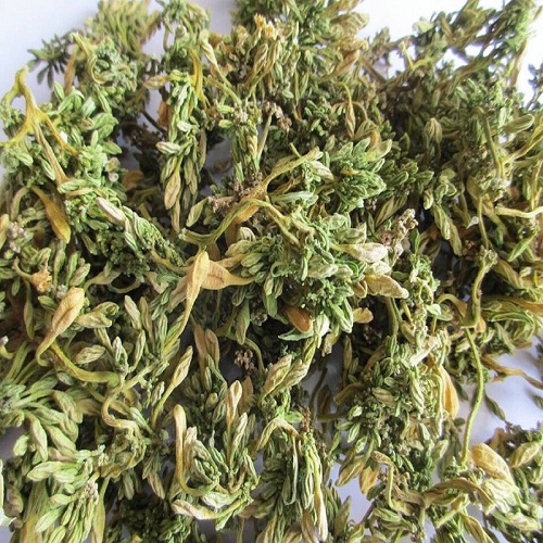 HOA ĐU ĐỦ ĐỰC